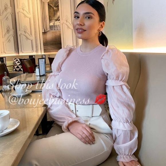 ZARA Organza Top - Picture 3 of 8